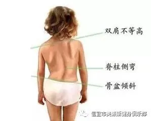 职业篮球教练如何制定有效的赛制训练计划?_1